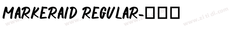 MarkerAid Regular字体转换